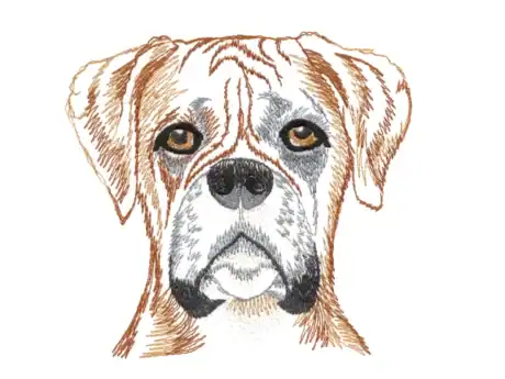 Graser Boxer cushion cover, embroidery detail