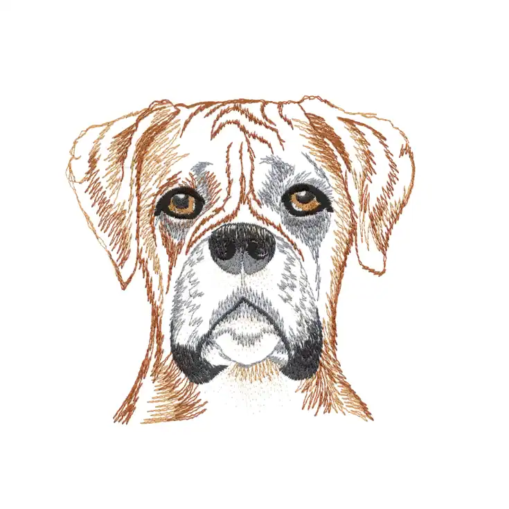 Graser Boxer cushion cover, embroidery detail
