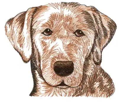 Graser Golden Retriever cushion cover, embroidery detail